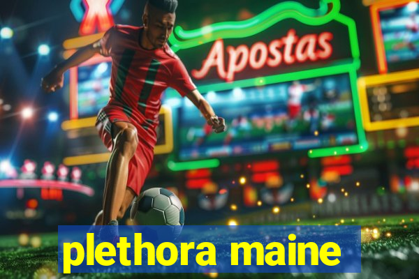 plethora maine